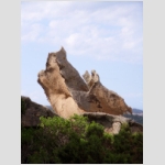 17_028 Capo Orso.jpg